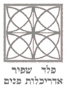 logo_peled_shafir